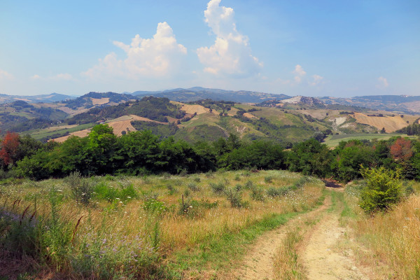 Visita All’area Di Montescudo