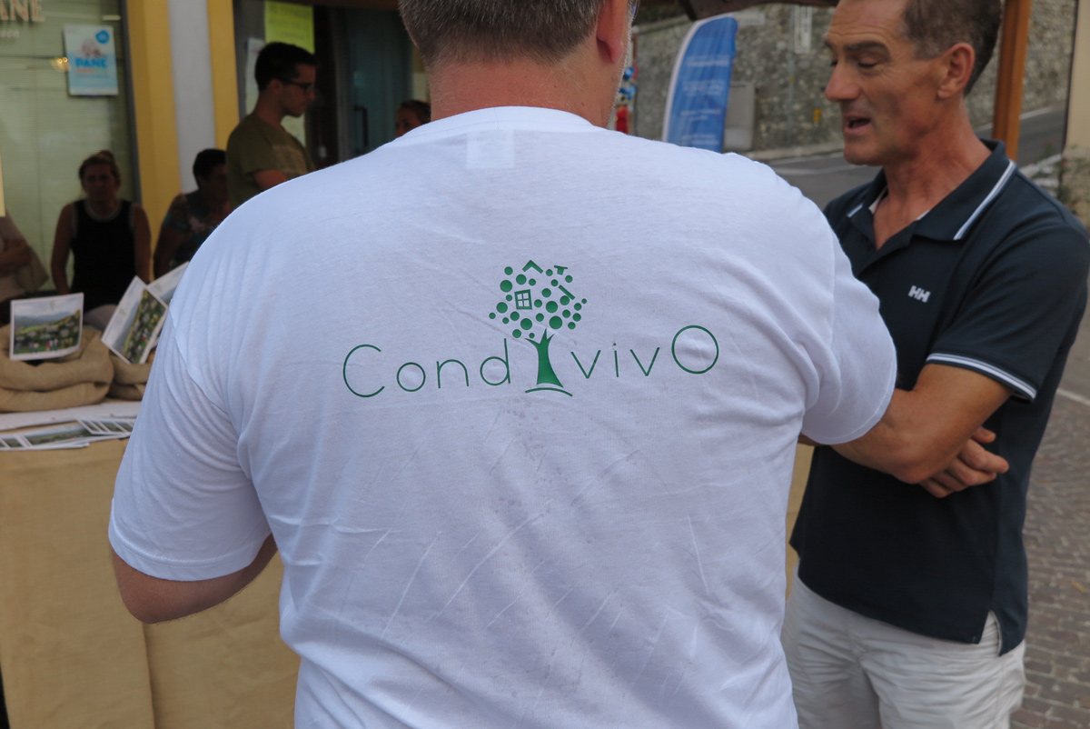 Condivivo 8