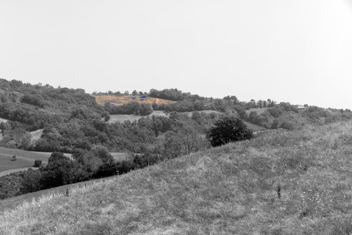 Vista Area