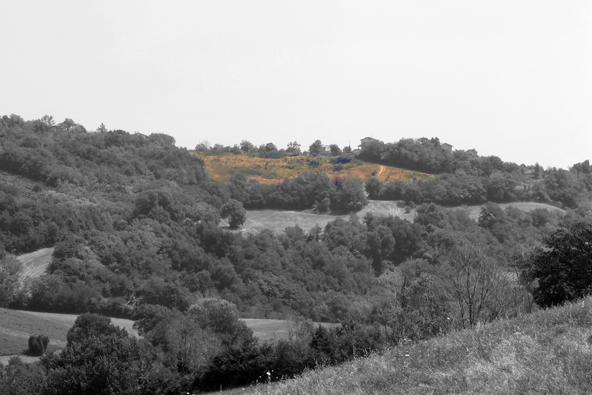 Vista Area 1