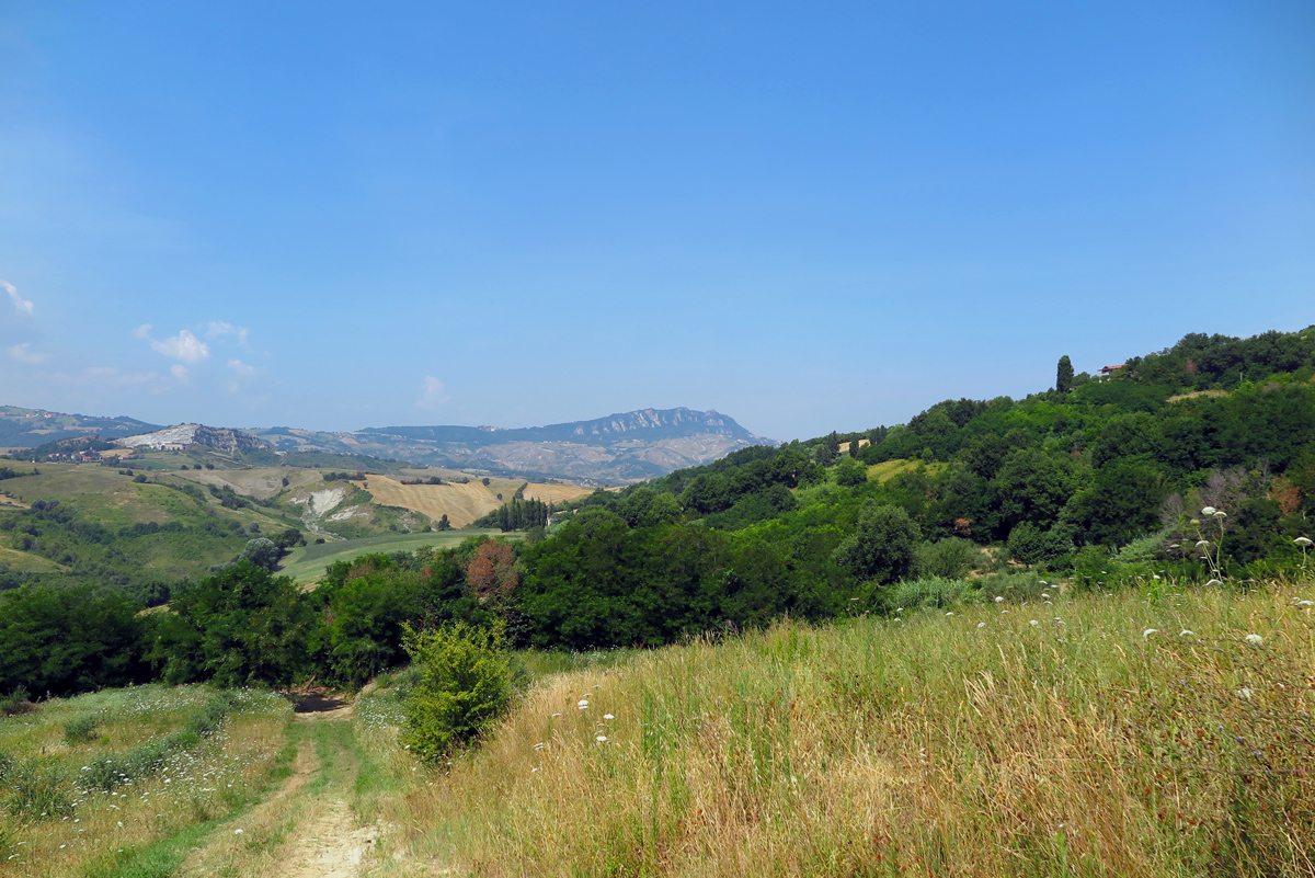 Vista Area 4