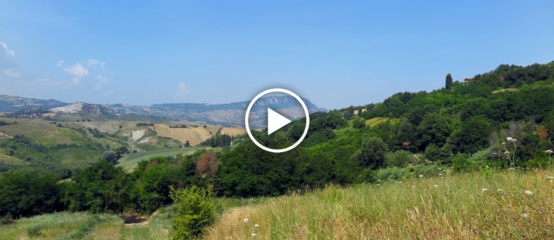 video-montescudo